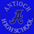 Antioch High School Holographic Spangle Sparkle Bling Shirt, tank or hoodie-LS Shirt, SS Shirt, Racerback tank and hoodie-Becky's Boutique-XS-Short Sleeve V-Neck-Royal Blue-Beckys-Boutique.com