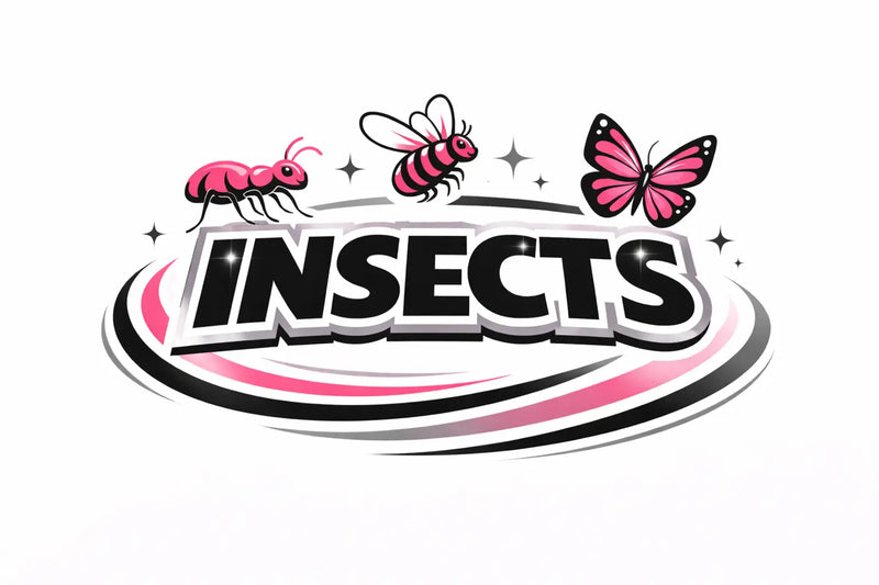 Insects