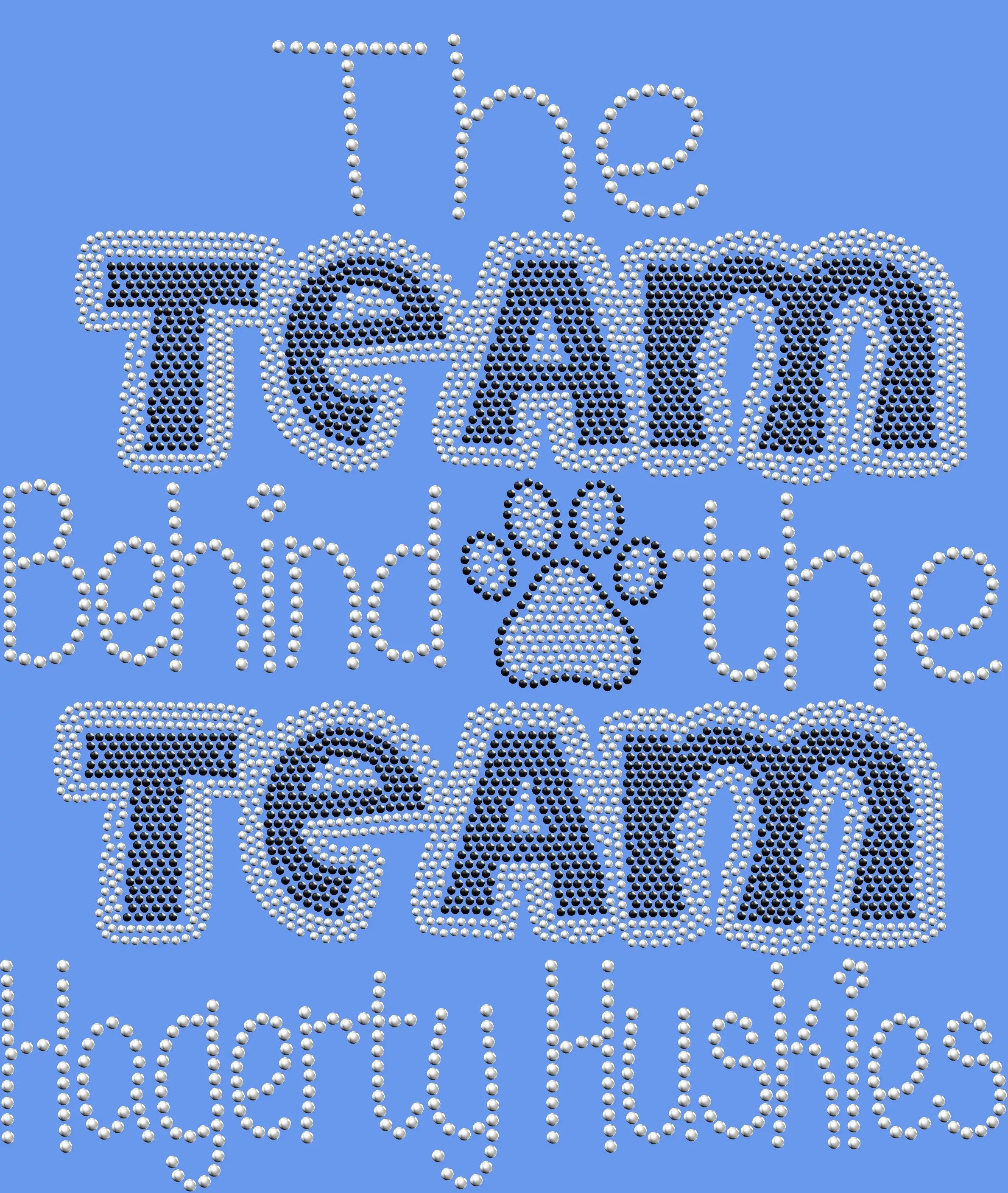 The Team behind the Team