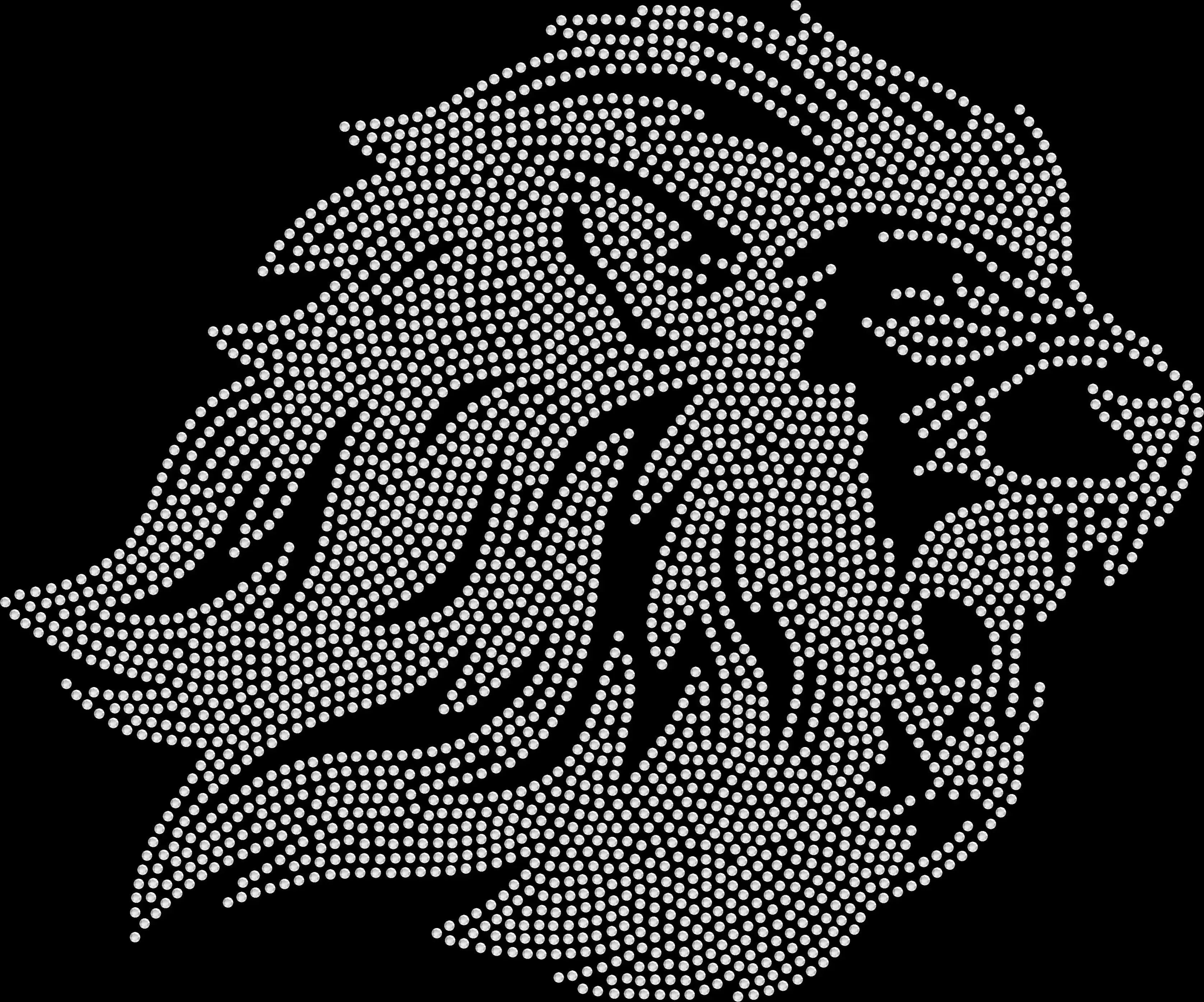 Custom Side View Lion Head rhinestone shirt featuring sparkling crystal lion profile graphic on a soft bold statement tee