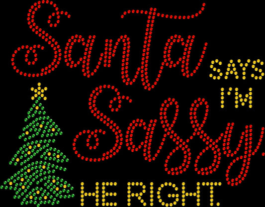 Santa Says I’m Sassy He Right rhinestone shirt featuring sparkling crystal lettering on a soft women’s tee, perfect for funny Christmas outfits, holiday parties, and festive sparkle wear.