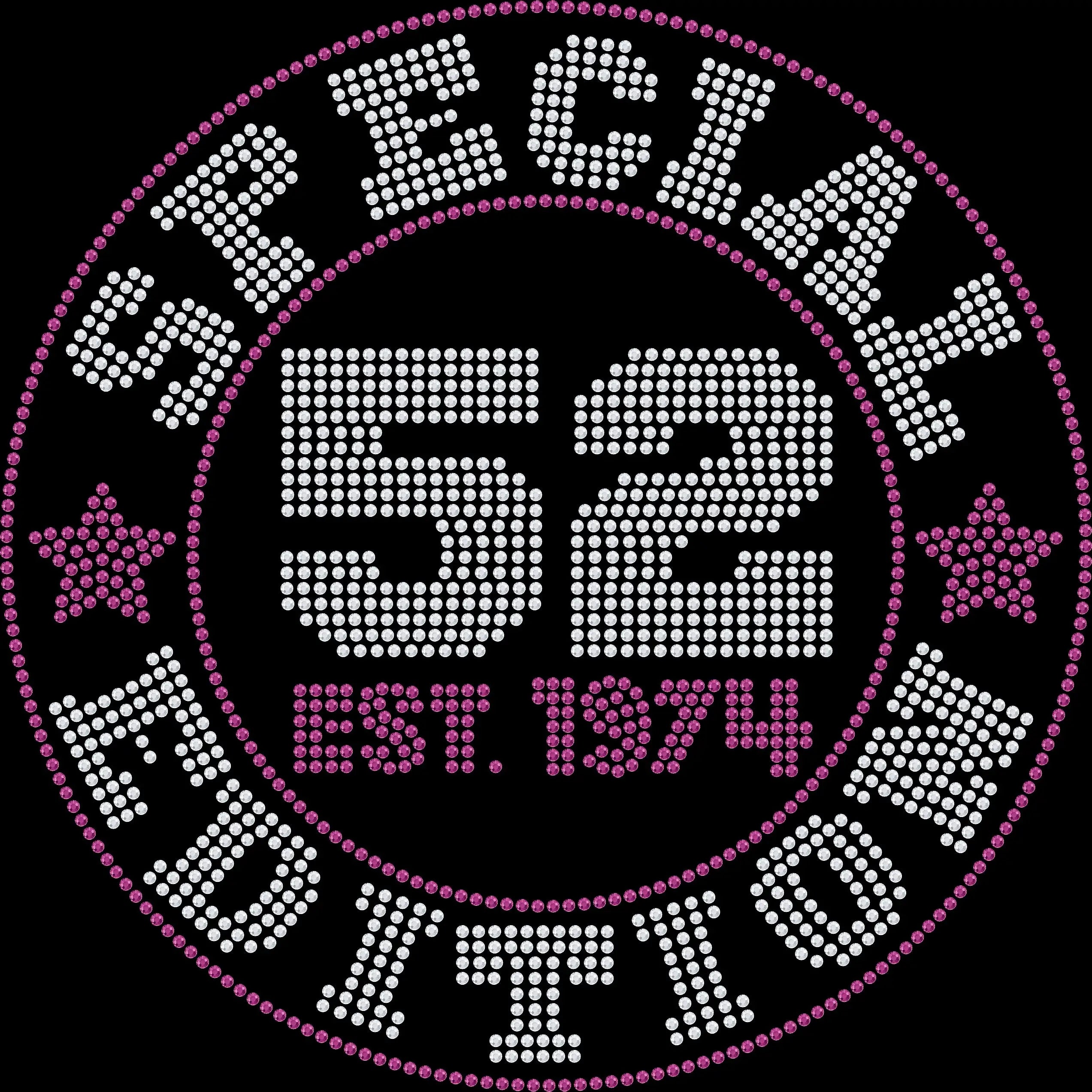 Special Edition Birthday rhinestone shirt featuring sparkling crystal lettering with custom birth year and age on a soft t-shirt, personalized birthday bling apparel