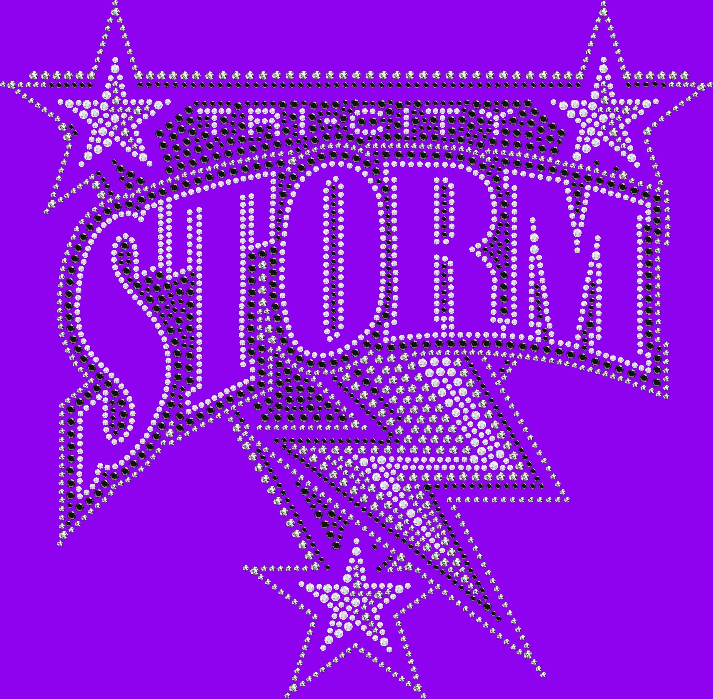 Tri-City Storm Hockey Rhinestone Shirt – Sparkly Hockey Fan Bling Tee for Women- 1874