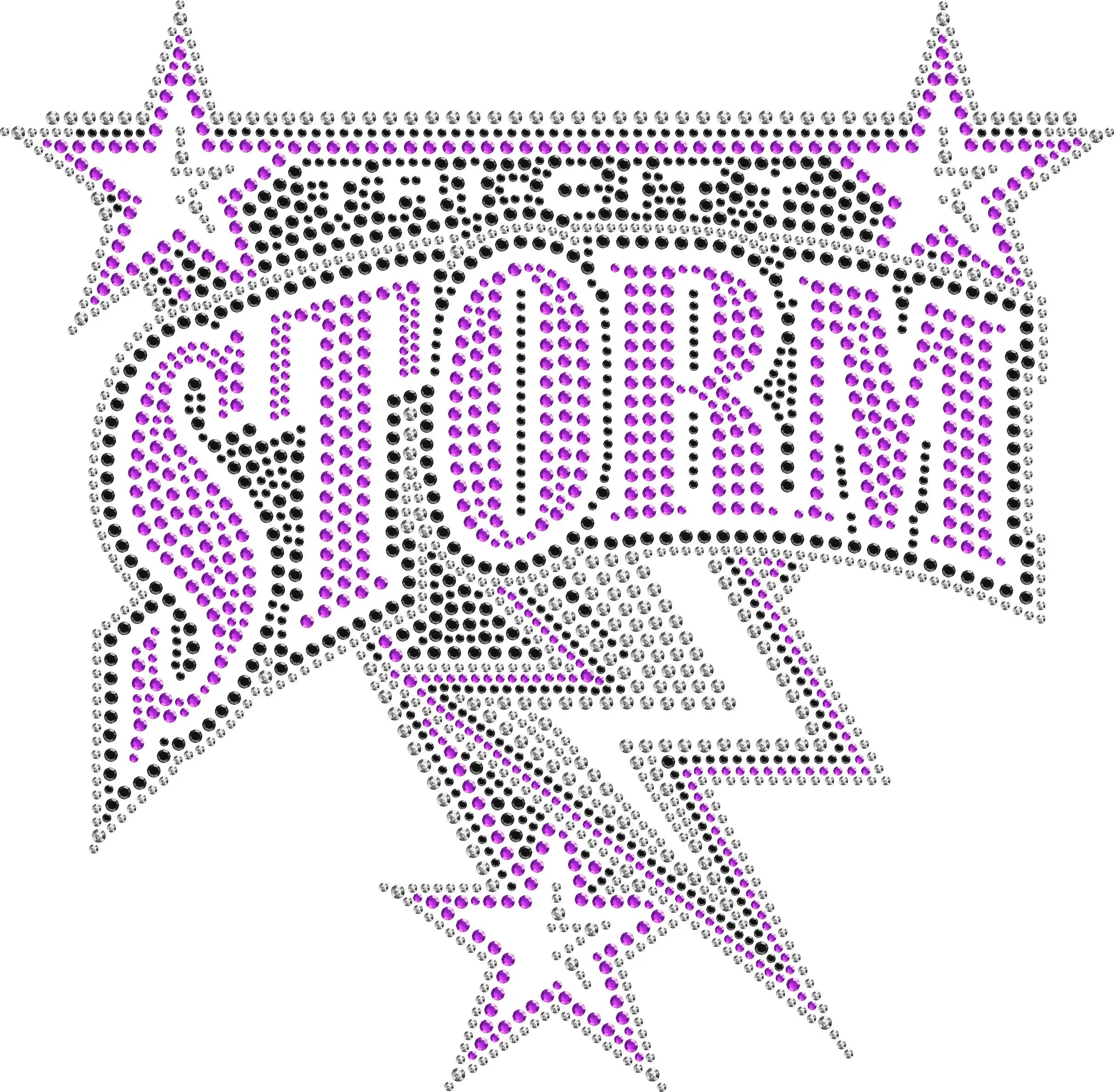Tri-City Storm Hockey Rhinestone Shirt – Sparkly Hockey Fan Bling Tee for Women- 1874