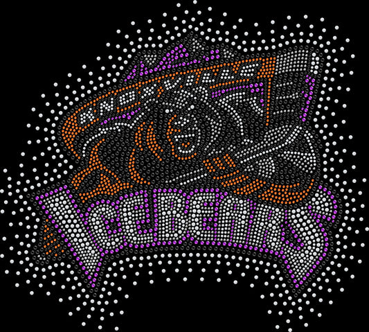 Support the Knoxville Ice Bears in style with this sparkly rhinestone hockey fan shirt. Perfect for game days, hockey moms, and sports lovers.