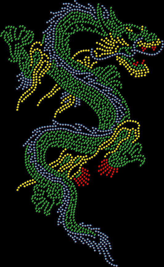Fancy Dragon Rhinestone Shirt | Fantasy Dragon Graphic Tee