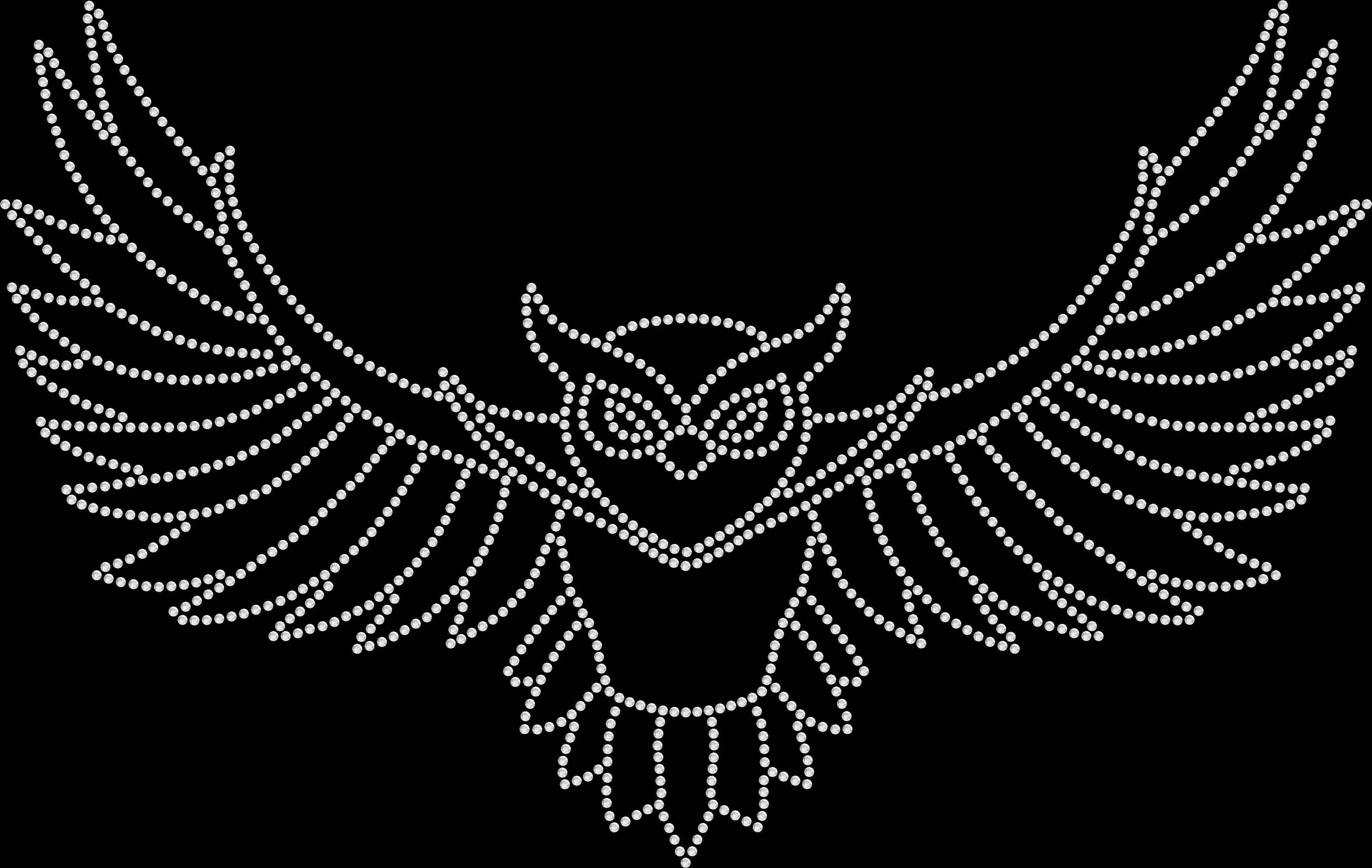 Black rhinestone shirt featuring an extra large owl with wings spread wide, detailed sparkling wildlife design for nature lovers