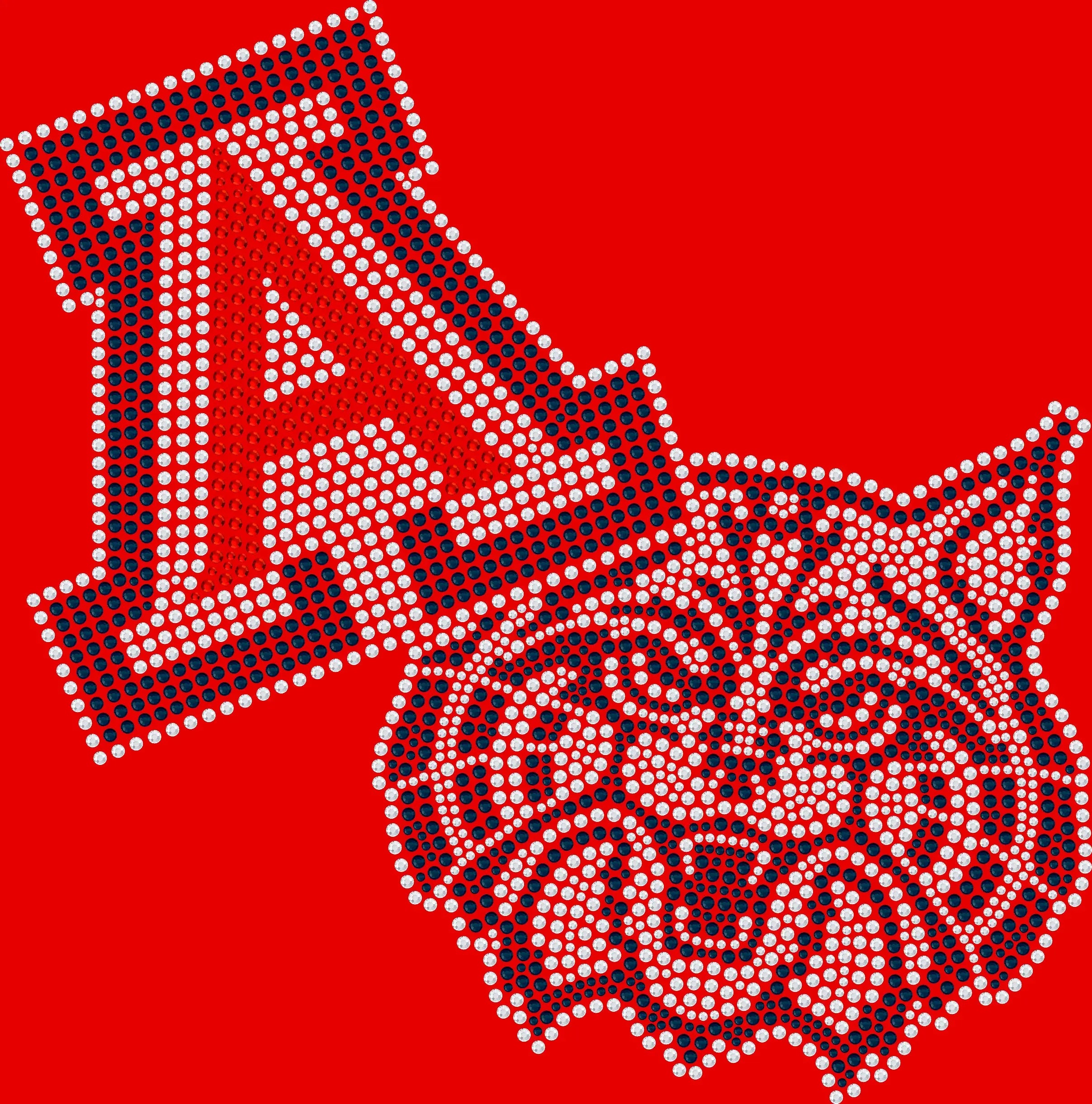 Wildcat Spirit game day shirt decorated with premium glass rhinestones or holographic spangles. Ideal for sporting events, tailgates, pep rallies, family weekends, alumni gatherings, and showing school pride with a stylish collegiate-inspired look. 🐾✨🏈